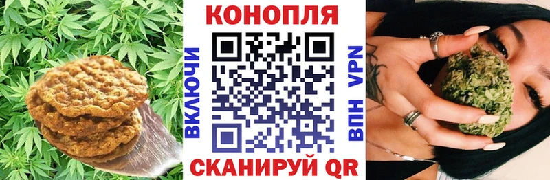 цены наркотик  Светогорск  Cannafood конопля 